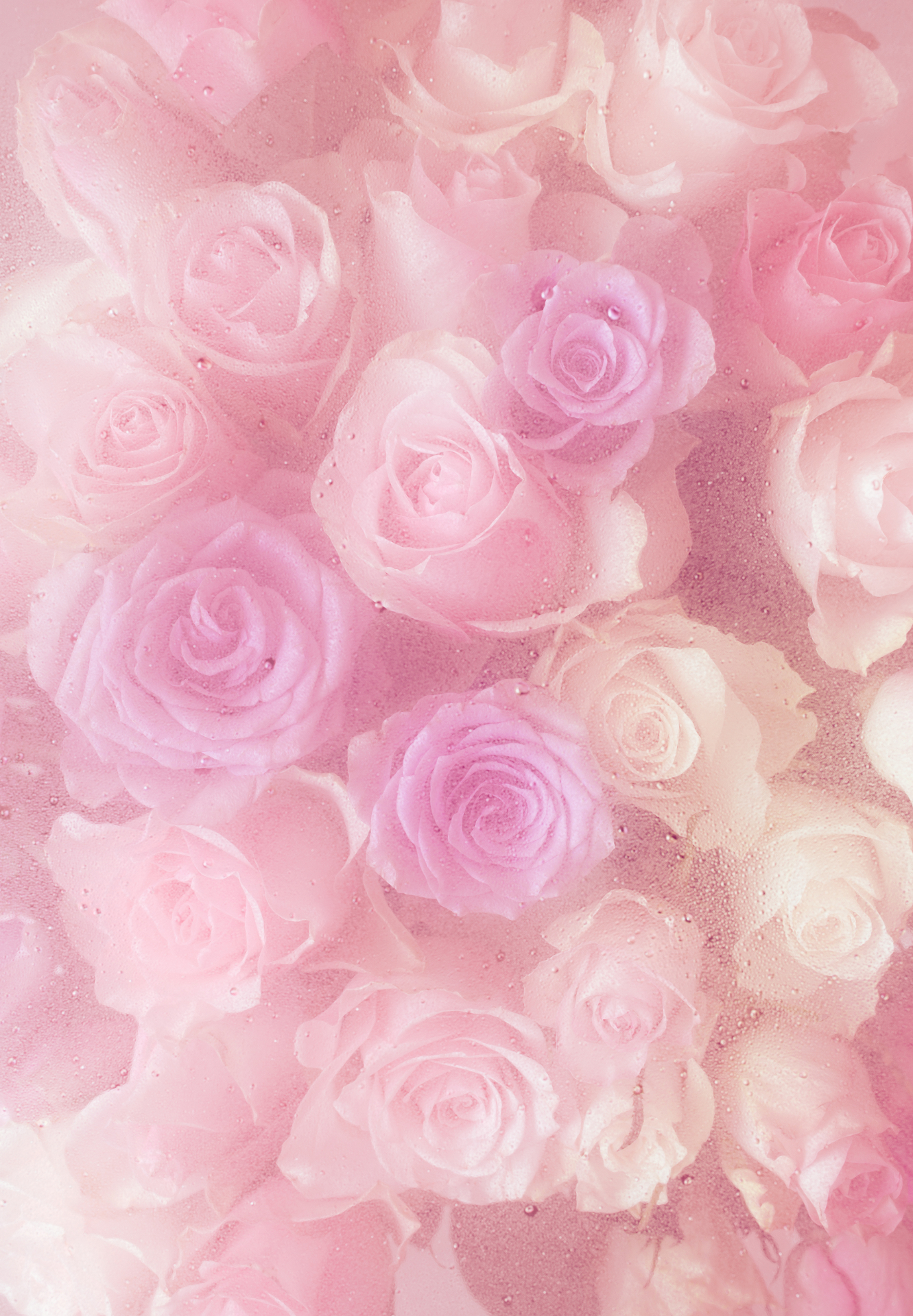 Beautiful Roses decoration for dessert table